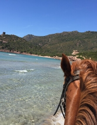 Maneggio Torre del Porticciolo
